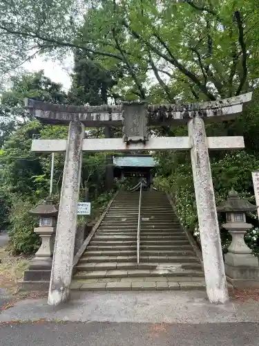 平濱八幡宮の{uncategorized: "未分類", other: "その他", undefined: "問題あり", building: "その他建物", grave: "お墓", sacred_gate: "鳥居", guardian: "狛犬", statue: "像", buddha: "仏像", history: "歴史", nature: "自然", garden: "庭園", animal: "動物", pagoda: "塔", temizu: "手水舎", mountain_gate: "山門・神門", sanctuary: "本殿・本堂", subordinate: "末社・摂社", art: "芸術", scenery: "景色", jizo: "地蔵", ema: "絵馬", goshuin: "御朱印", omikuji: "おみくじ", items: "授与品その他", amulet: "お守り", goshuincho: "御朱印帳", eats: "食事", festival: "お祭り", votive_dance: "神楽", shichigosan: "七五三参", wedding: "結婚式", experience: "体験その他", initially: "初詣", around: "周辺", anti_infection: "感染症対策"}