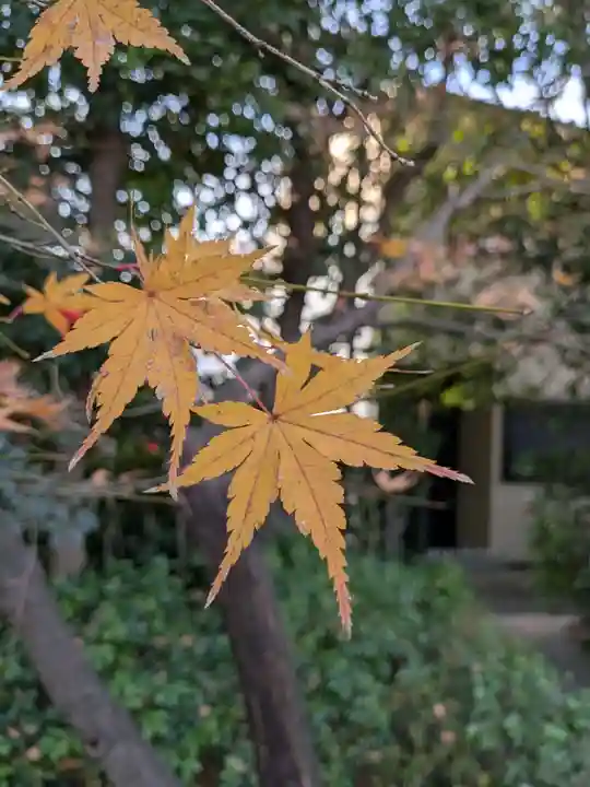 高円寺(東京都)