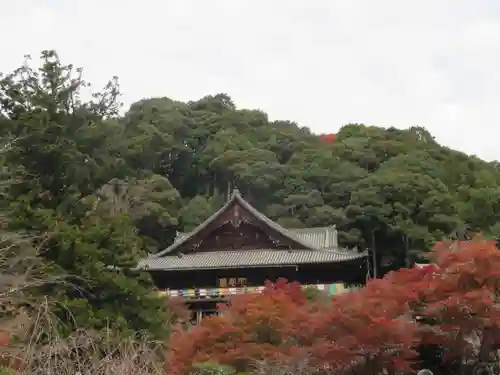 長谷寺(奈良県)