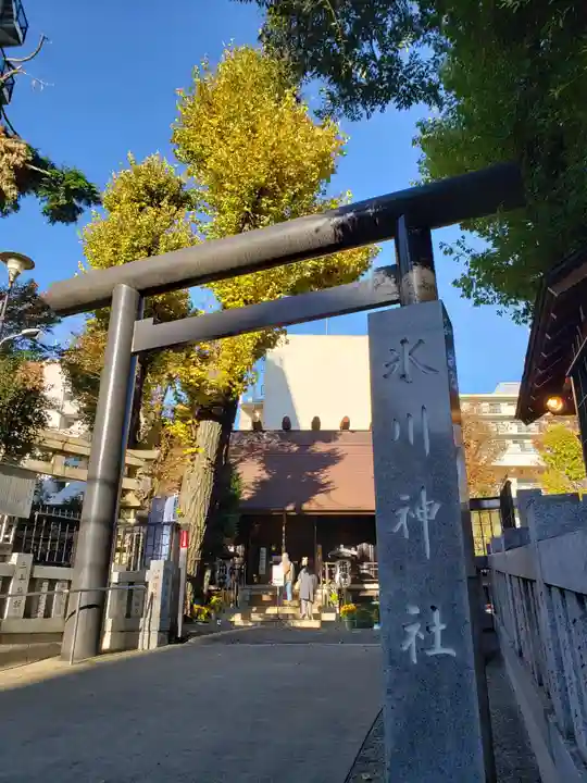 高円寺氷川神社の鳥居