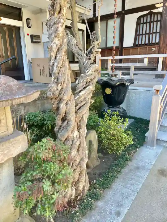 海福寺の{uncategorized: "未分類", other: "その他", undefined: "問題あり", building: "その他建物", grave: "お墓", sacred_gate: "鳥居", guardian: "狛犬", statue: "像", buddha: "仏像", history: "歴史", nature: "自然", garden: "庭園", animal: "動物", pagoda: "塔", temizu: "手水舎", mountain_gate: "山門・神門", sanctuary: "本殿・本堂", subordinate: "末社・摂社", art: "芸術", scenery: "景色", jizo: "地蔵", ema: "絵馬", goshuin: "御朱印", omikuji: "おみくじ", items: "授与品その他", amulet: "お守り", goshuincho: "御朱印帳", eats: "食事", festival: "お祭り", votive_dance: "神楽", shichigosan: "七五三参", wedding: "結婚式", experience: "体験その他", initially: "初詣", around: "周辺", anti_infection: "感染症対策"}