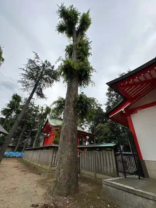 小野神社(東京都)