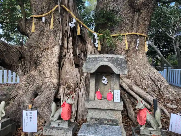 信太森神社(葛葉稲荷神社)(大阪府)