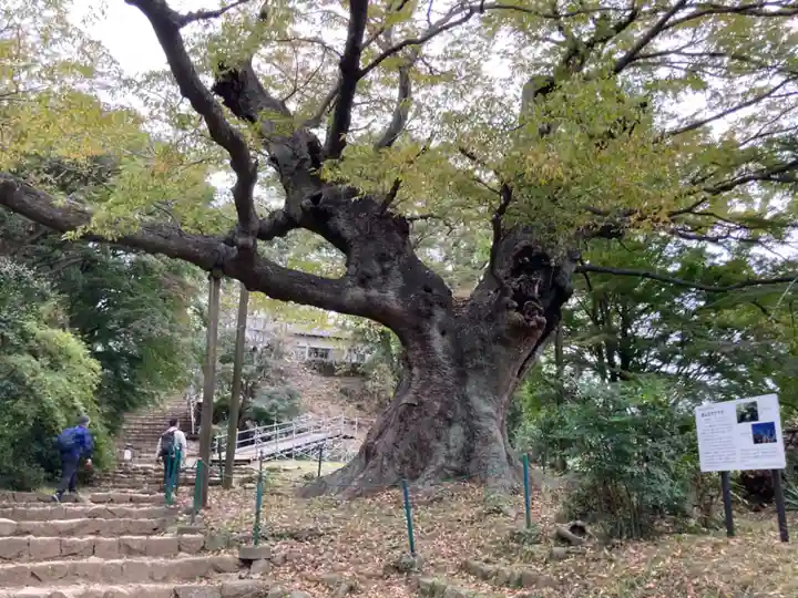 新田神社(群馬県)