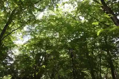 賀茂御祖神社（下鴨神社）(京都府)