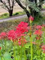蚊里田八幡宮(長野県)