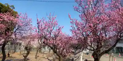 上野天満宮(愛知県)