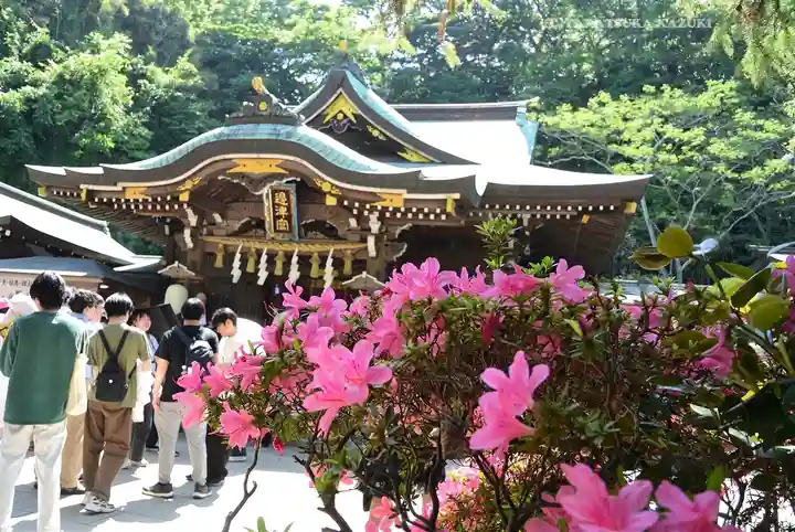 江島神社(神奈川県)