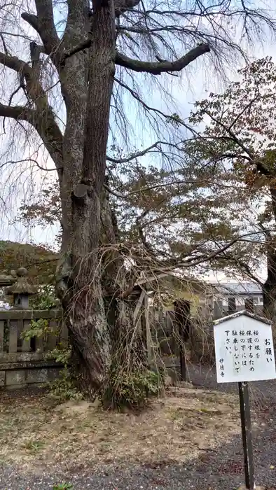 妙徳寺の建物その他