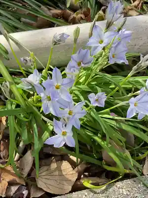 富部神社(愛知県)