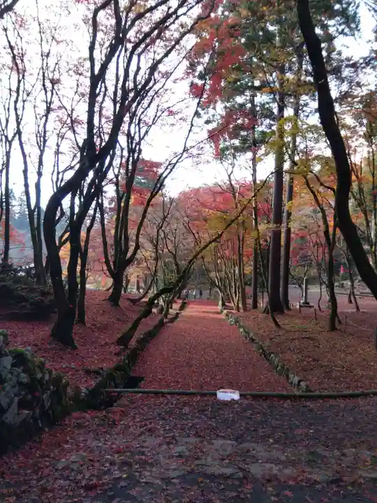 鶏足寺(滋賀県)