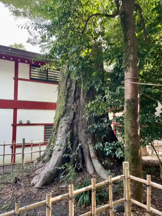 大國魂神社(東京都)