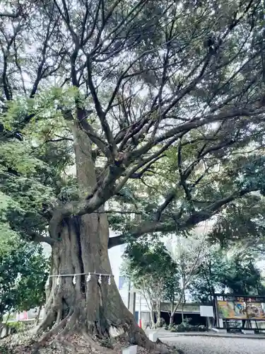 音無神社(静岡県)