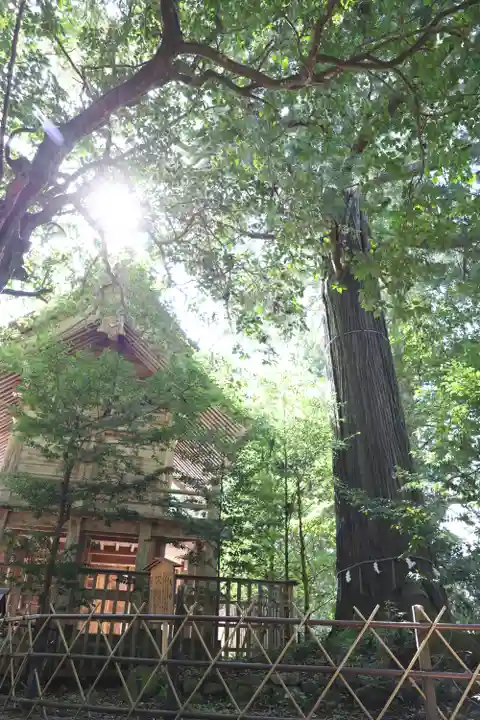 須佐神社(島根県)