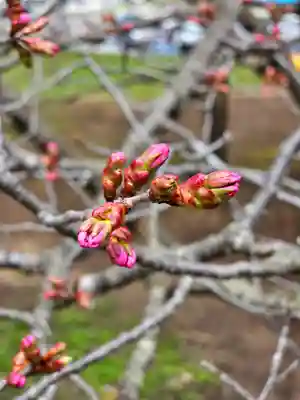 美幌神社(北海道)