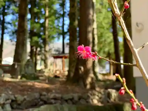 山家神社の自然