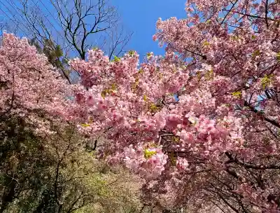 井田神社(静岡県)