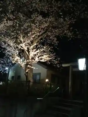 明治神宮の自然