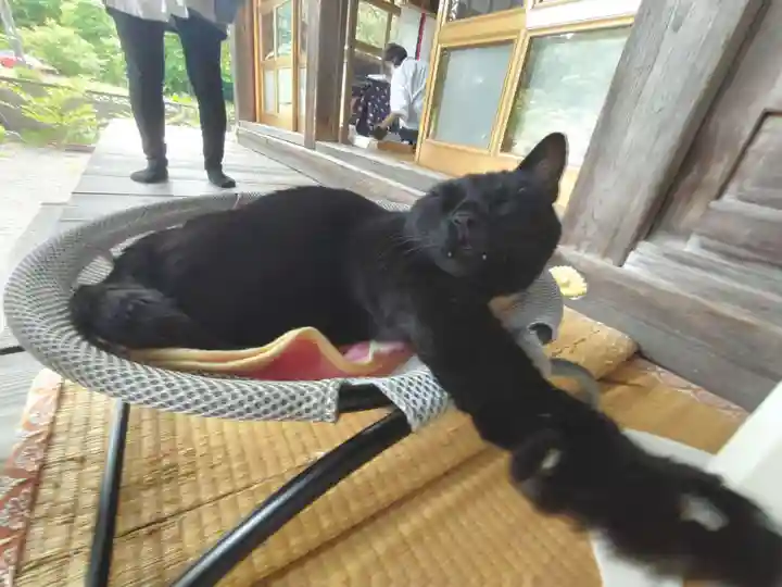 高司神社〜むすびの神の鎮まる社〜の動物