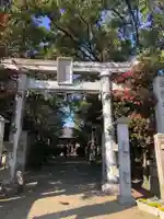 大井神社の鳥居
