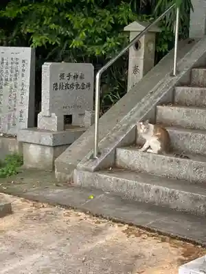 蛭子神社の動物