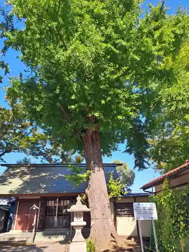 蘇我比咩神社(千葉県)