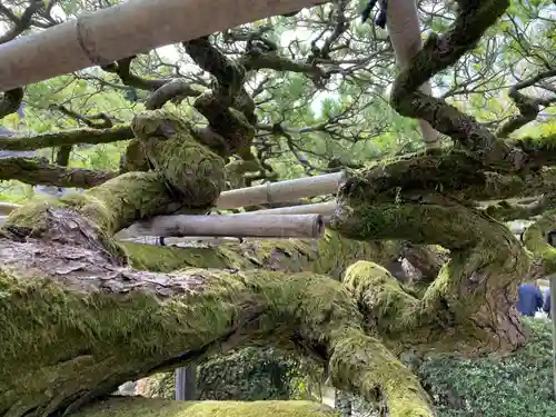 善峯寺(京都府)