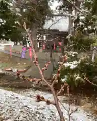 高司神社〜むすびの神の鎮まる社〜の自然