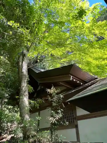 秩父御嶽神社(埼玉県)