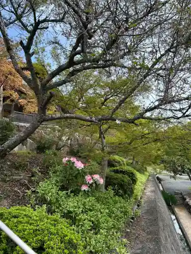 明王寺の{uncategorized: "未分類", other: "その他", undefined: "問題あり", building: "その他建物", grave: "お墓", sacred_gate: "鳥居", guardian: "狛犬", statue: "像", buddha: "仏像", history: "歴史", nature: "自然", garden: "庭園", animal: "動物", pagoda: "塔", temizu: "手水舎", mountain_gate: "山門・神門", sanctuary: "本殿・本堂", subordinate: "末社・摂社", art: "芸術", scenery: "景色", jizo: "地蔵", ema: "絵馬", goshuin: "御朱印", omikuji: "おみくじ", items: "授与品その他", amulet: "お守り", goshuincho: "御朱印帳", eats: "食事", festival: "お祭り", votive_dance: "神楽", shichigosan: "七五三参", wedding: "結婚式", experience: "体験その他", initially: "初詣", around: "周辺", anti_infection: "感染症対策"}