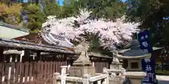 伊豆神社(滋賀県)