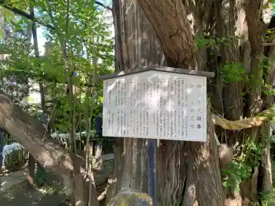 稲毛神社の{uncategorized: "未分類", other: "その他", undefined: "問題あり", building: "その他建物", grave: "お墓", sacred_gate: "鳥居", guardian: "狛犬", statue: "像", buddha: "仏像", history: "歴史", nature: "自然", garden: "庭園", animal: "動物", pagoda: "塔", temizu: "手水舎", mountain_gate: "山門・神門", sanctuary: "本殿・本堂", subordinate: "末社・摂社", art: "芸術", scenery: "景色", jizo: "地蔵", ema: "絵馬", goshuin: "御朱印", omikuji: "おみくじ", items: "授与品その他", amulet: "お守り", goshuincho: "御朱印帳", eats: "食事", festival: "お祭り", votive_dance: "神楽", shichigosan: "七五三参", wedding: "結婚式", experience: "体験その他", initially: "初詣", around: "周辺", anti_infection: "感染症対策"}