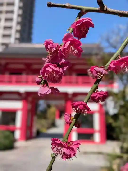 成子天神社(東京都)