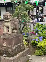 白山神社(東京都)