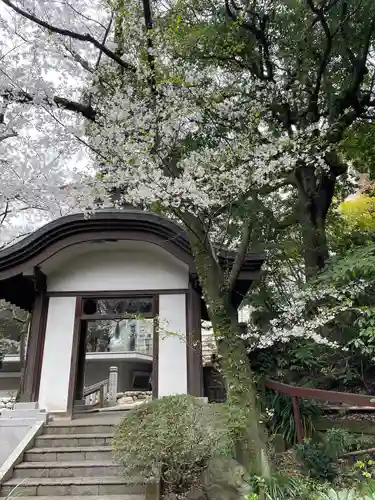 伊勢山皇大神宮(神奈川県)
