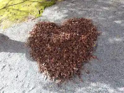 足羽神社(福井県)