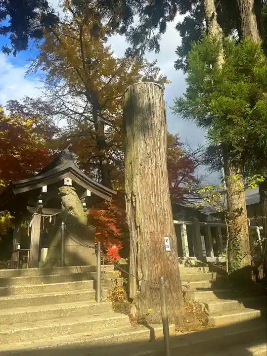 陸奥総社宮(宮城県)