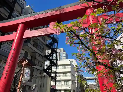 木場 洲﨑神社(東京都)