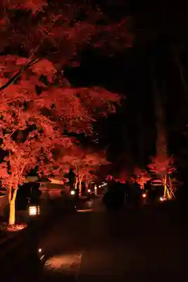 尊永寺(静岡県)