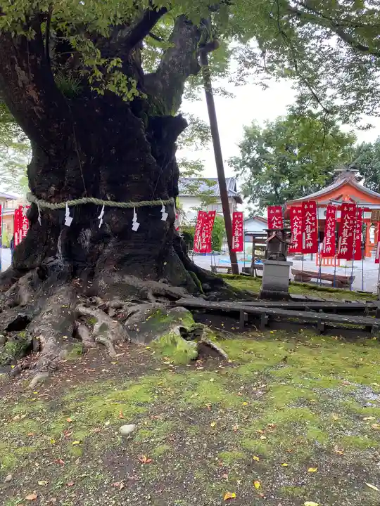 秩父今宮神社の自然