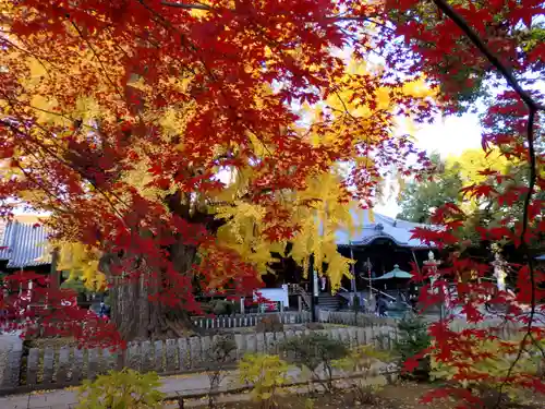 鑁阿寺の本殿