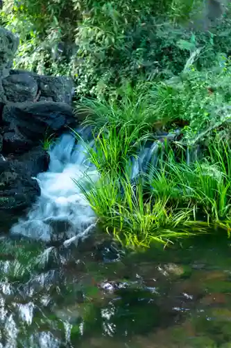 富士山本宮浅間大社(静岡県)