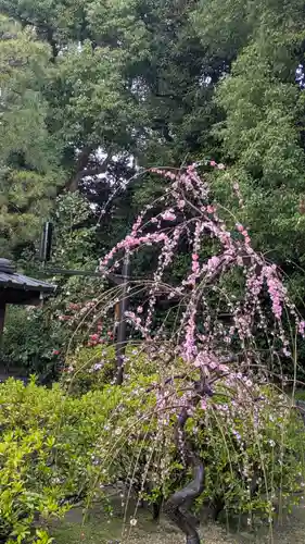 城南宮(京都府)