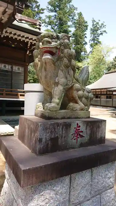 大戸神社の狛犬