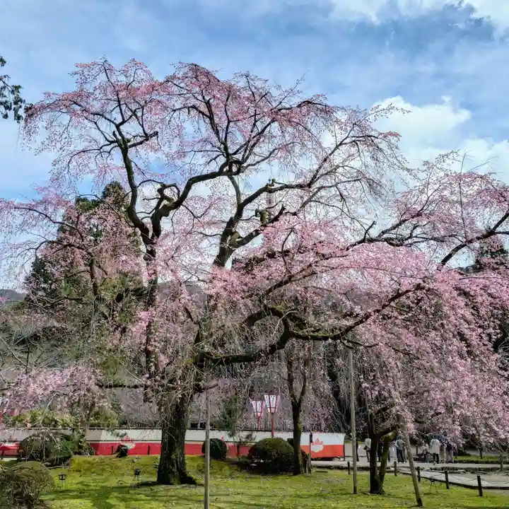 醍醐寺(京都府)