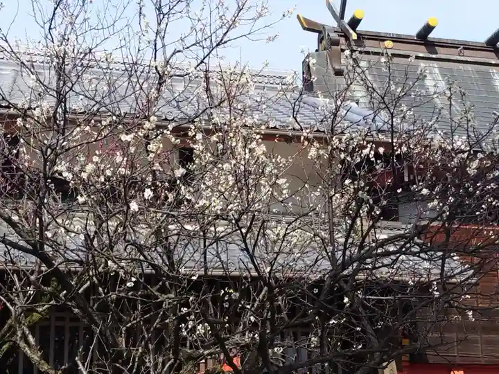 佐太神社(佐太天神宮)の自然