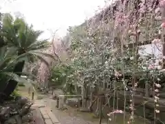 宝戒寺の自然