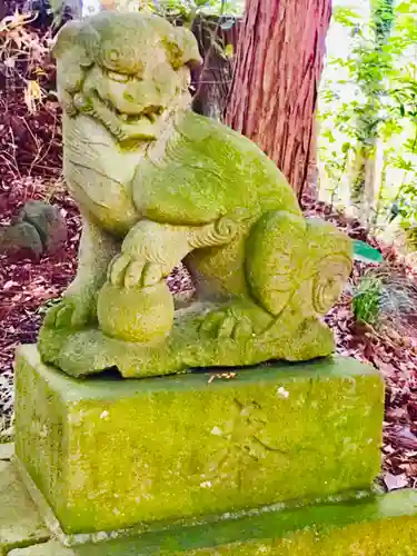 阿夫利神社の狛犬