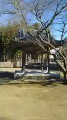 専修寺の建物その他