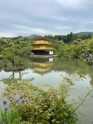 鹿苑寺（金閣寺）の{uncategorized: "未分類", other: "その他", undefined: "問題あり", building: "その他建物", grave: "お墓", sacred_gate: "鳥居", guardian: "狛犬", statue: "像", buddha: "仏像", history: "歴史", nature: "自然", garden: "庭園", animal: "動物", pagoda: "塔", temizu: "手水舎", mountain_gate: "山門・神門", sanctuary: "本殿・本堂", subordinate: "末社・摂社", art: "芸術", scenery: "景色", jizo: "地蔵", ema: "絵馬", goshuin: "御朱印", omikuji: "おみくじ", items: "授与品その他", amulet: "お守り", goshuincho: "御朱印帳", eats: "食事", festival: "お祭り", votive_dance: "神楽", shichigosan: "七五三参", wedding: "結婚式", experience: "体験その他", initially: "初詣", around: "周辺", anti_infection: "感染症対策"}